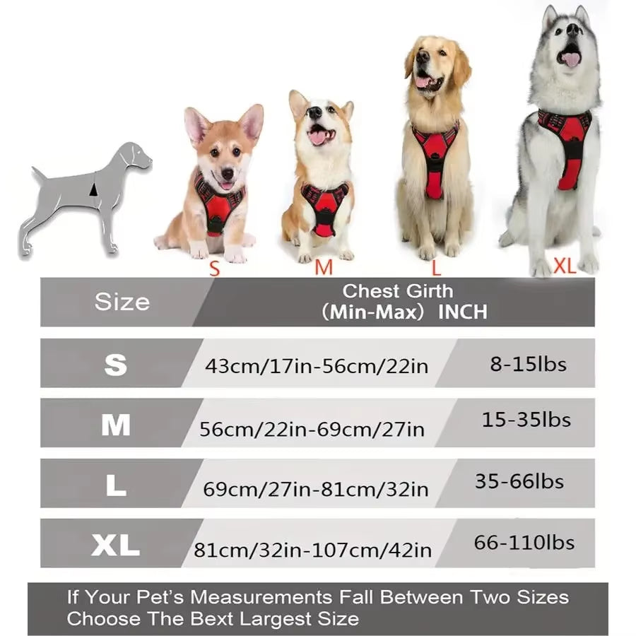 Premium Leather Dog Collar and Harness Set with Leash - Complete Accessories for Medium and Small Breeds