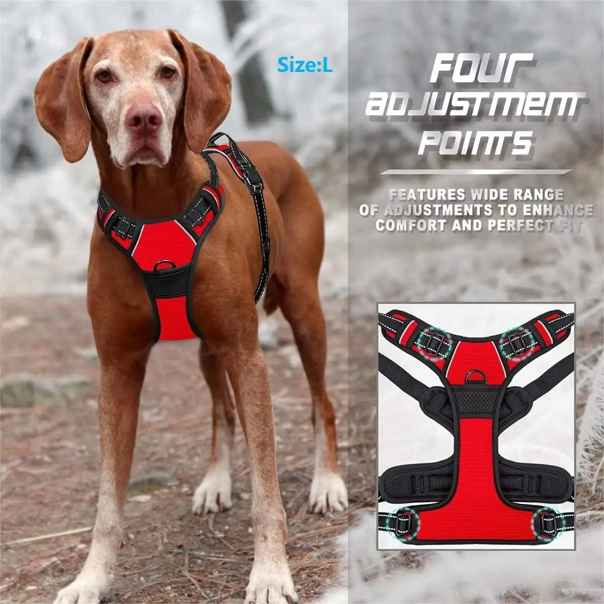 Premium Leather Dog Collar and Harness Set with Leash - Complete Accessories for Medium and Small Breeds