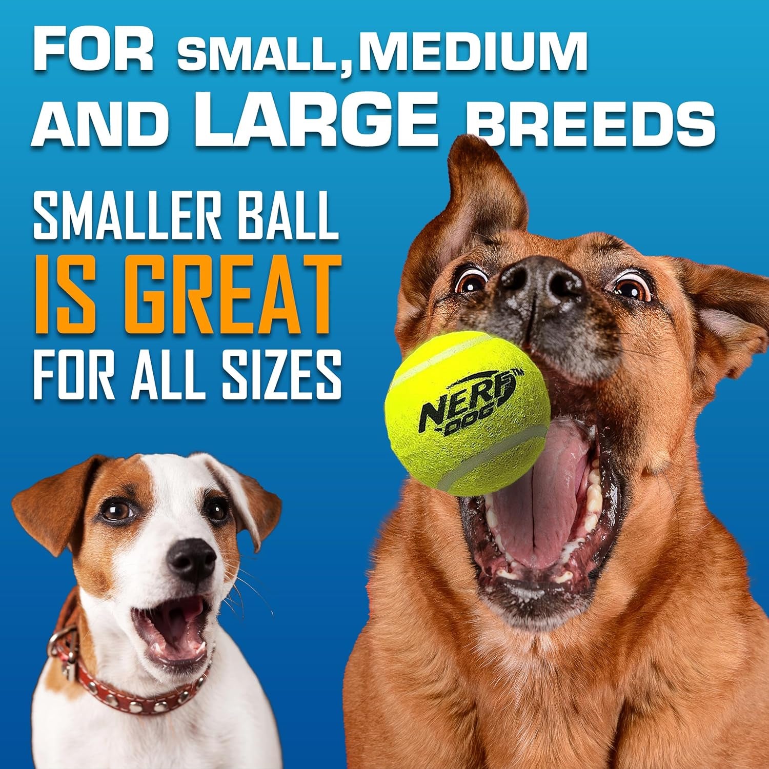 Tennis Ball Blaster Dog Toy Gift Set, Tennis Ball Dog Fetch Toy Launches up to 50 Ft, Dog Ball Thrower for All Breeds Includes Translucent Blue Tennis Ball Launcher and 3 Dog Tennis Balls