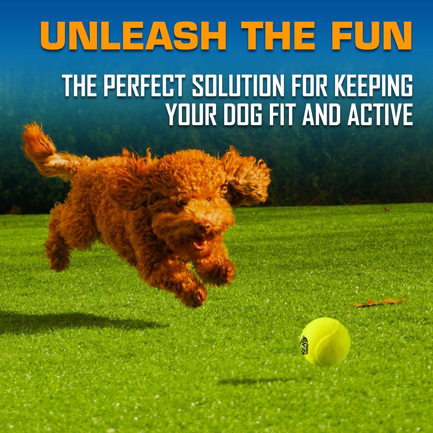 Tennis Ball Blaster Dog Toy Gift Set, Tennis Ball Dog Fetch Toy Launches up to 50 Ft, Dog Ball Thrower for All Breeds Includes Translucent Blue Tennis Ball Launcher and 3 Dog Tennis Balls