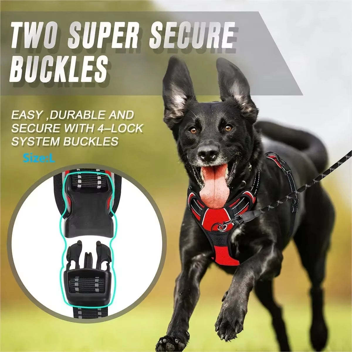 Premium Leather Dog Collar and Harness Set with Leash - Complete Accessories for Medium and Small Breeds