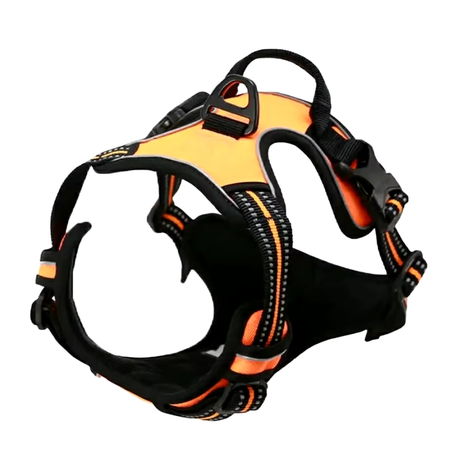 Premium Leather Dog Collar and Harness Set with Leash - Complete Accessories for Medium and Small Breeds