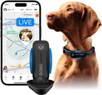 AI GPS Tracker for Dogs (30Lbs+), Real Time Location and AI Health Assistant, Electronic Fence, Waterproof, Ios and Android Universal (D5-Black)