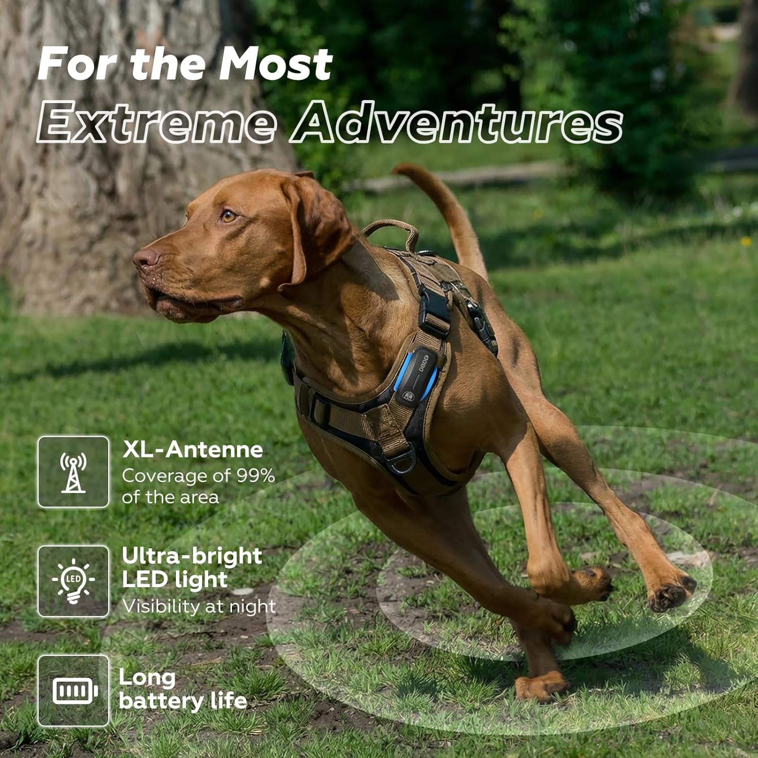 AI GPS Tracker for Dogs (30Lbs+), Real Time Location and AI Health Assistant, Electronic Fence, Waterproof, Ios and Android Universal (D5-Black)
