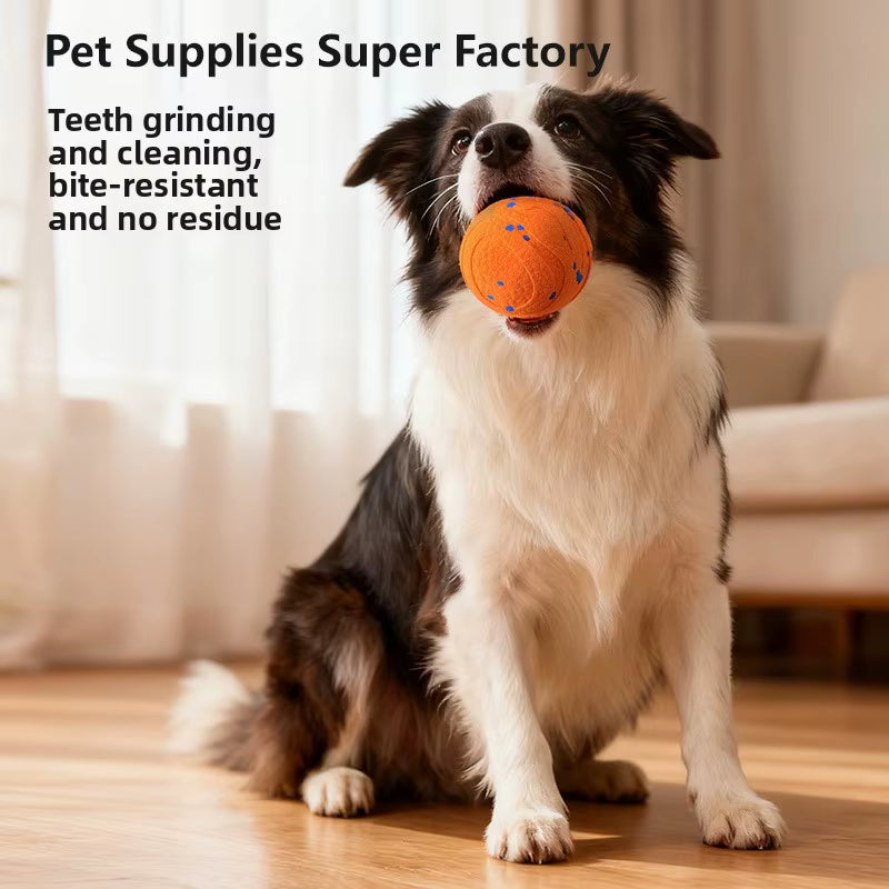 ETPU Dog Bite-Resistant Electric Molar Ball - Non-Toxic, Food Grade Certified Training Toy for Pets