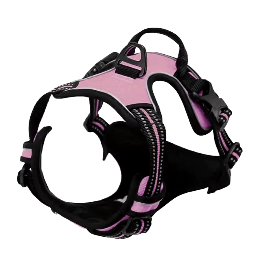 Premium Leather Dog Collar and Harness Set with Leash - Complete Accessories for Medium and Small Breeds