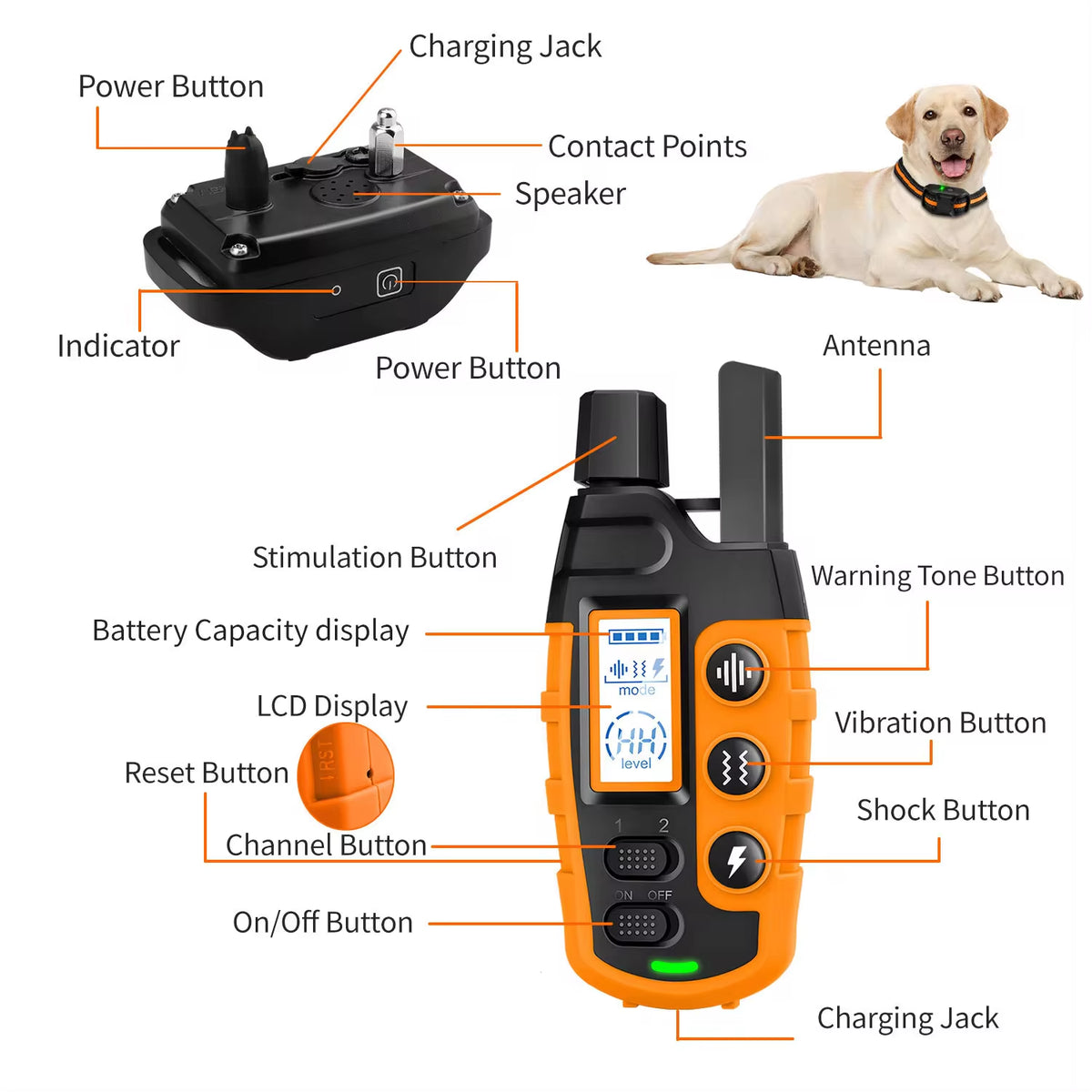 3300Ft Waterproof Electric Dog Training Collar with Remote Control for Pets Weighing 5-120 lbs - Features Shock and Vibration Modes
