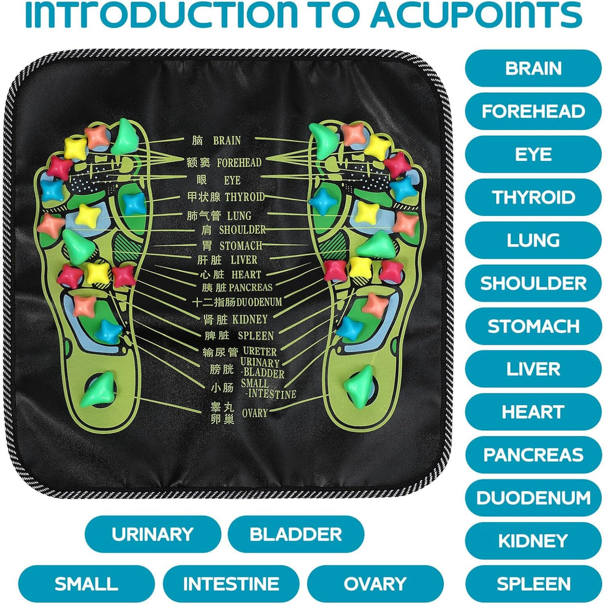 Foot Pressure Massage Board with Soft Stone Points