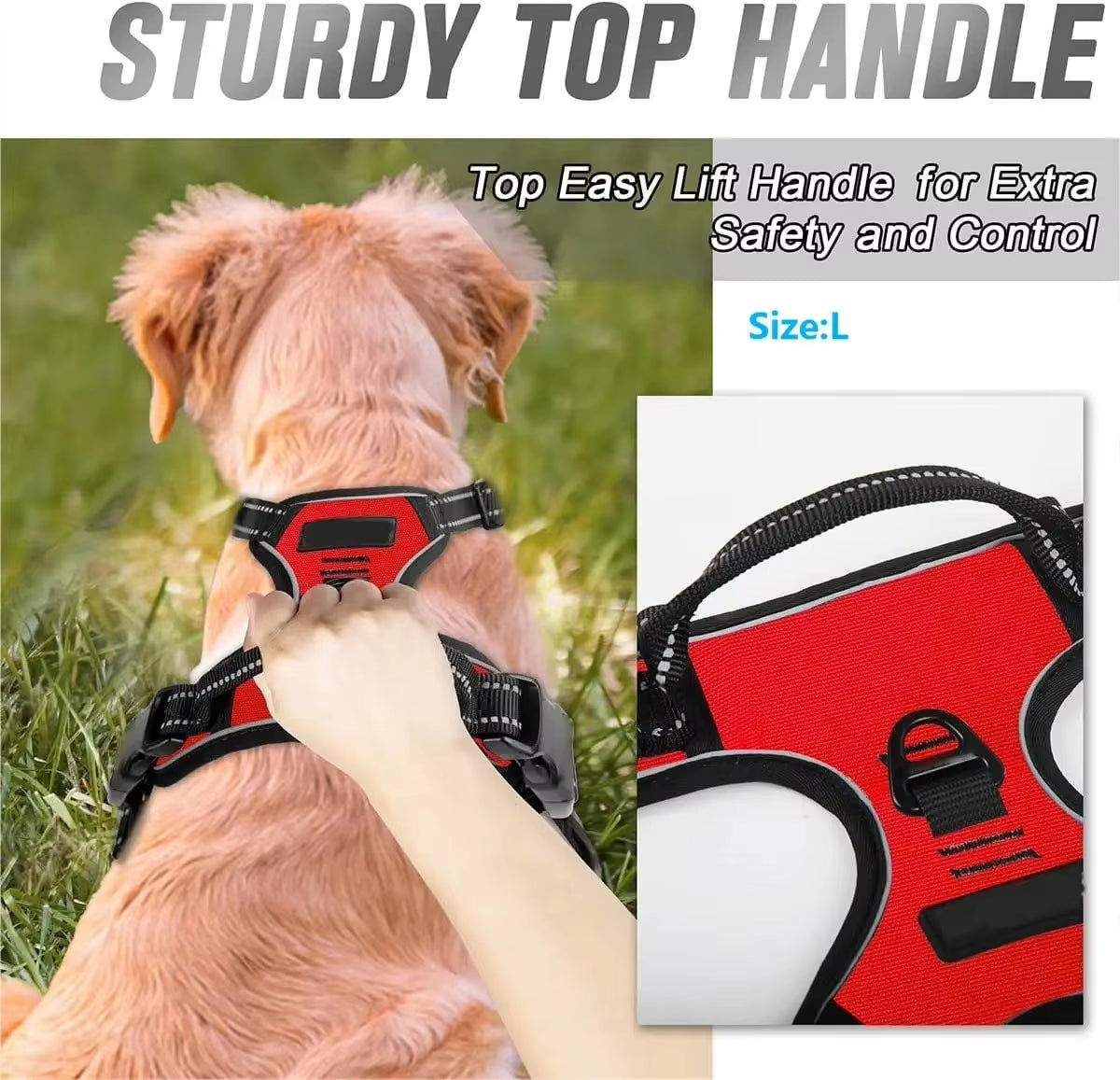 Premium Leather Dog Collar and Harness Set with Leash - Complete Accessories for Medium and Small Breeds