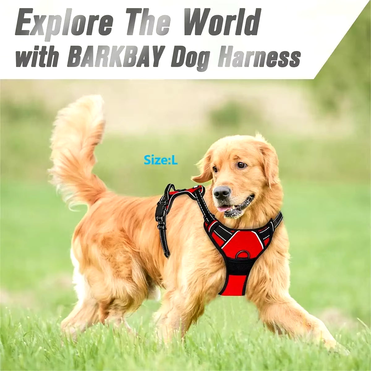 Premium Leather Dog Collar and Harness Set with Leash - Complete Accessories for Medium and Small Breeds